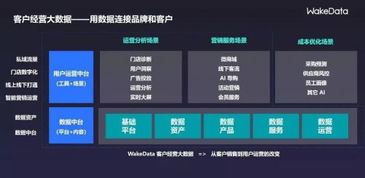2019全球數字價值峰會 WakeData李柯辰——以數據為橋，連接品牌與客戶